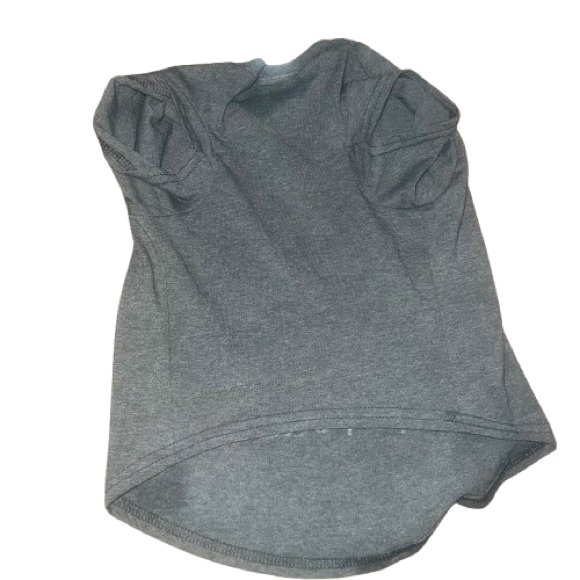Hocus Pocus Halloween Witches Dog Clothes T Shirt Grey Size Large - Picture 2 of 4